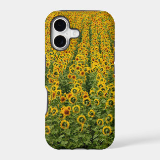 Sunflower Power iPhone Case