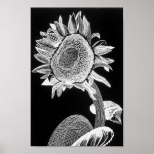 Sunflower print - art for charity