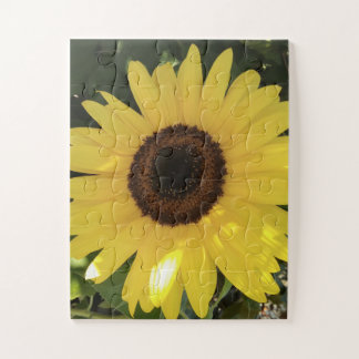 Sunflower Puzzle