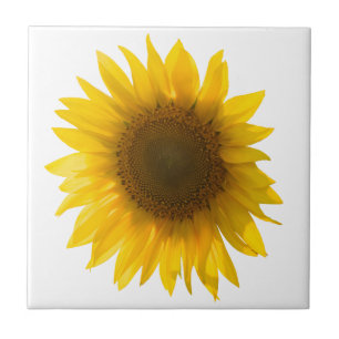 Sunflower quote "flowers are happiness" tile
