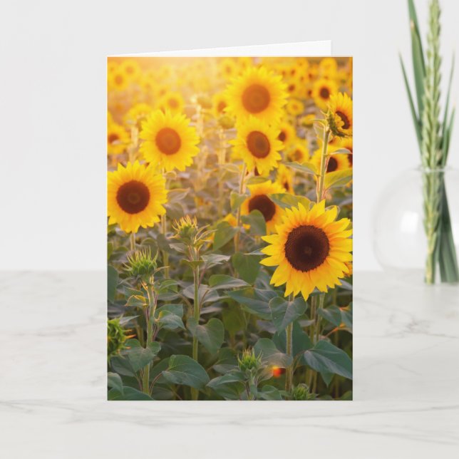 SUNFLOWER Religious SYMPATHY GREETING CARD (Front)