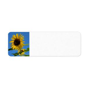 Sunflower return address label