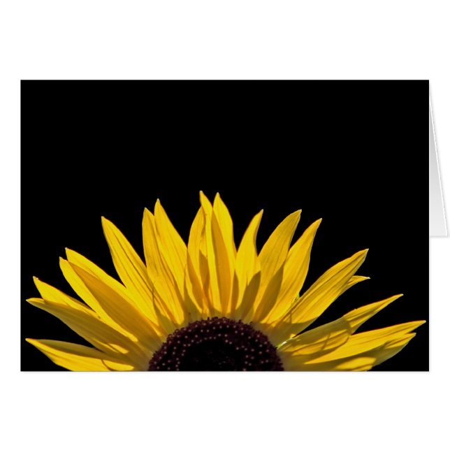 Sunflower Rising Card (Front Horizontal)
