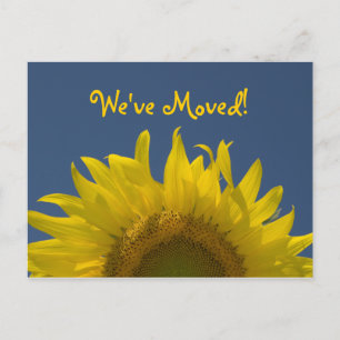 Sunflower Rising Change of Address Announcement Postcard