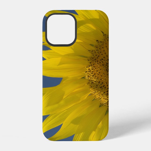 Sunflower Rising iPhone Case (Back)