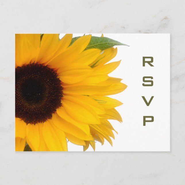 Sunflower RSVP Postcard (Front)