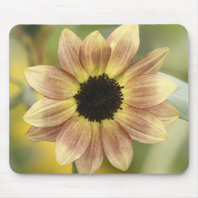 Sunflower Rust Mouse Pad (Front)