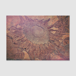 Sunflower Rust Orange Brown Vintage Sketch Art Tissue Paper