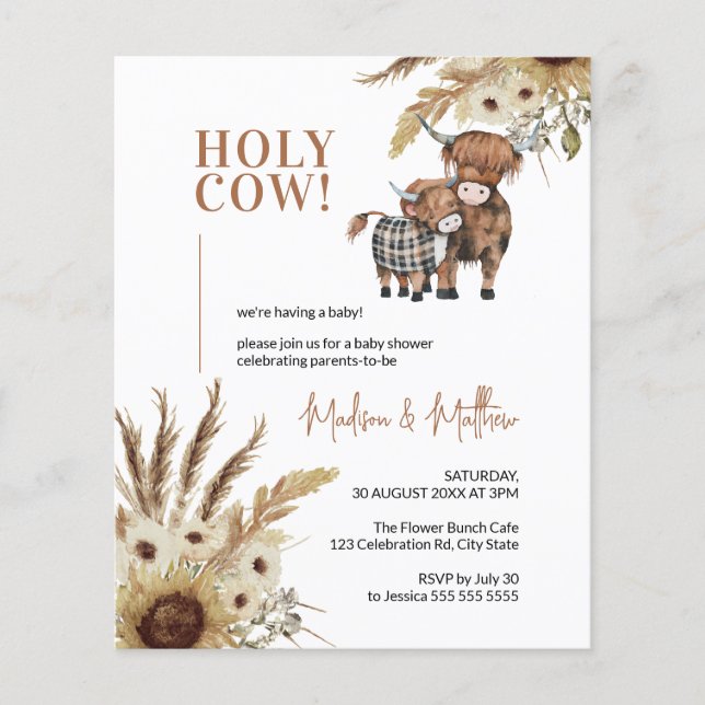 Sunflower Rustic Farm Baby Shower Budget Invite (Front)