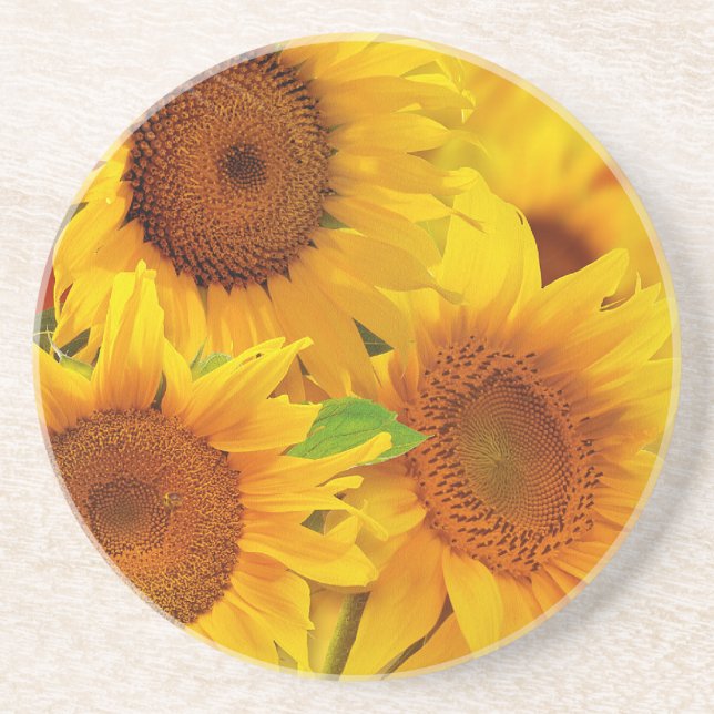 Sunflower Sandstone Coaster (Front)