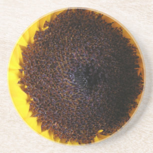 Sunflower Sandstone Coaster