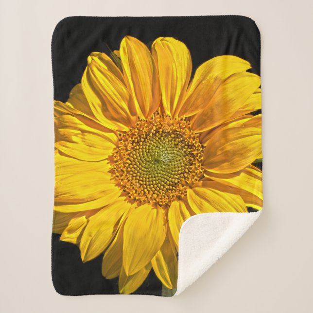 Sunflower sba sherpa blanket (Front)