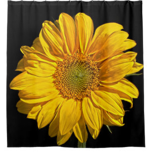 Sunflower sccna shower curtain