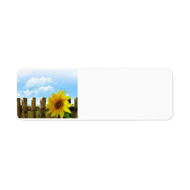 Sunflower Scene (Front)