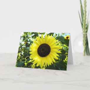 Sunflower Scene Greeting Card