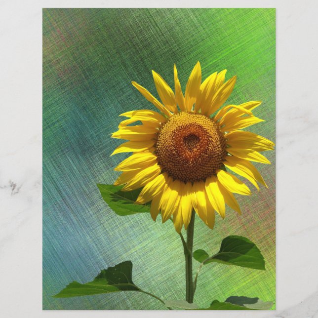Sunflower  Scrapbook Paper (Front)
