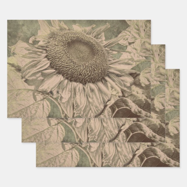 Sunflower Sepia Tone Brown Art Texture Decoupage Wrapping Paper Sheet (Set)