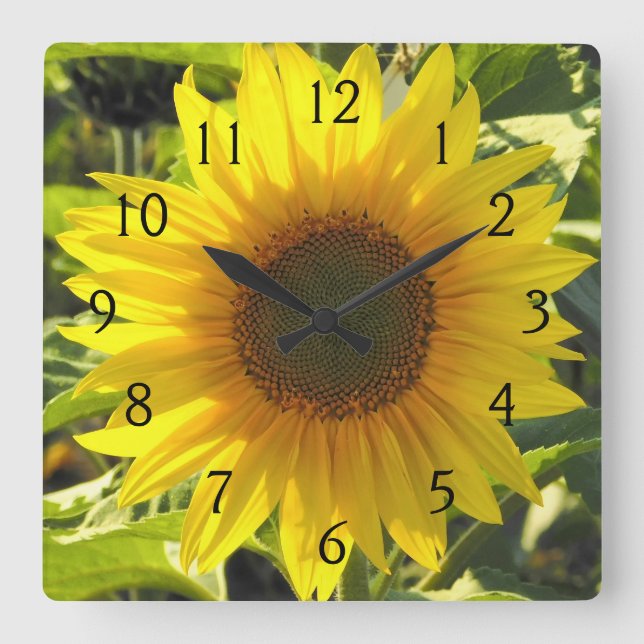 Sunflower Serenade Square Wall Clock (Front)