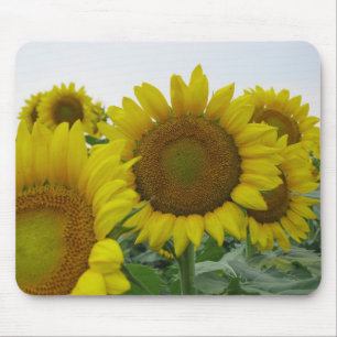 Sunflower series mouse pad