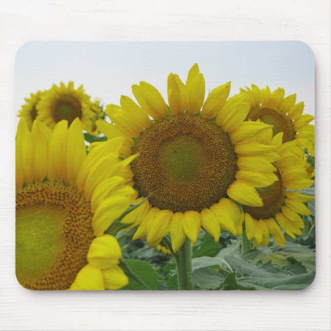 Sunflower series mouse pad (Front)