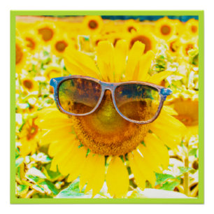 Sunflower Shades Chic Poster