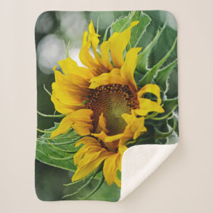 Sunflower Sherpa Blanket
