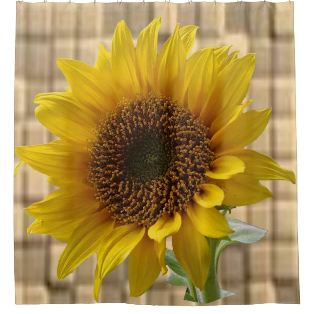 Sunflower shower curtain (Front)