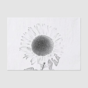 Sunflower Single Black And White Vintage Sketch Tissue Paper
