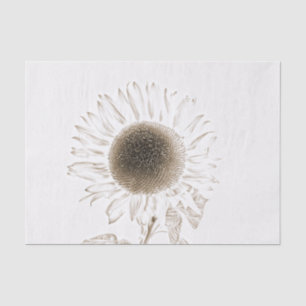 Sunflower Single Vintage Antique Sepia Sketch Art Tissue Paper