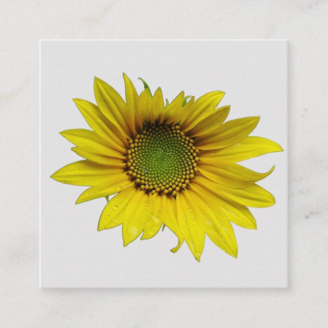 sunflower solo Card (Front)
