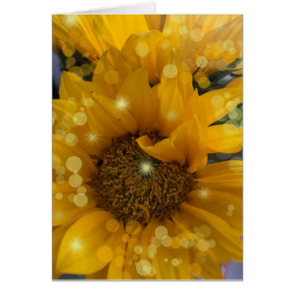 Sunflower Sparkles