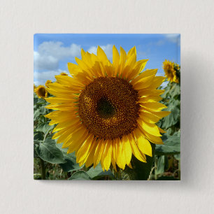Sunflower Square Badge
