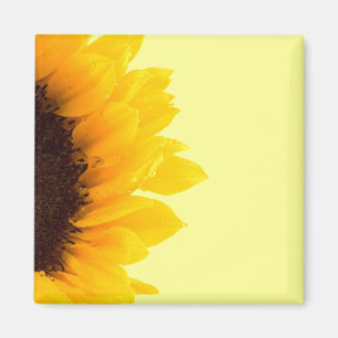 sunflower square magnet by Petr Kratochvil