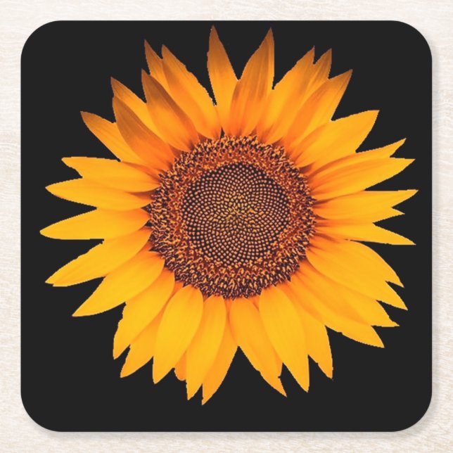 Sunflower Square Paper Coaster (Front)