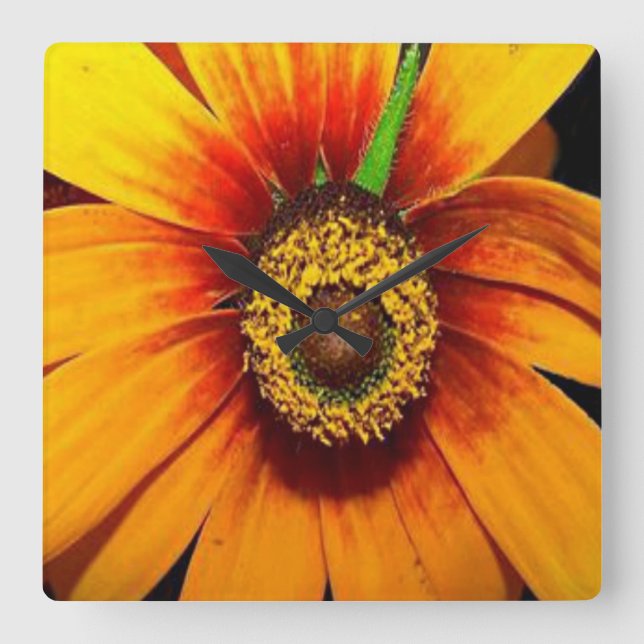 Sunflower  square wall clock (Front)