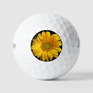 Sunflower ssf gbcna golf balls
