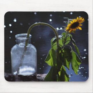 sunflower stars mouse pad
