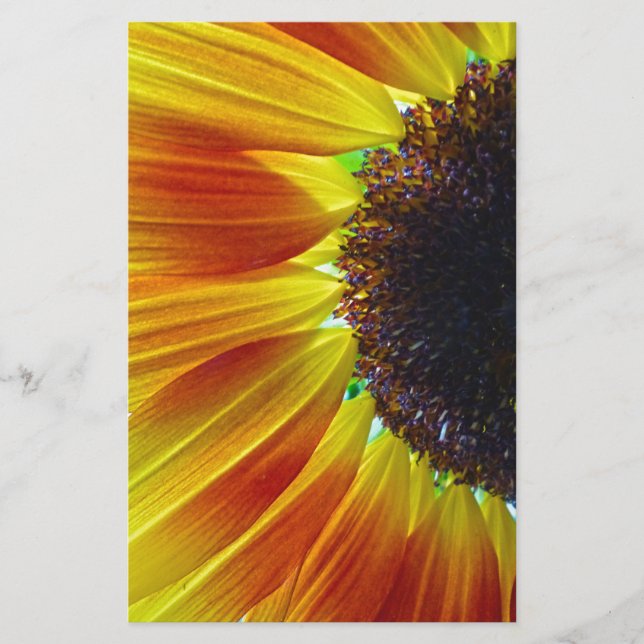 Sunflower Stationery (Front)