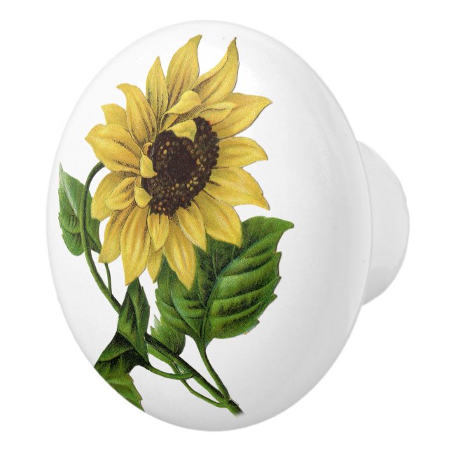 Sunflower Stem Ceramic Knob (Right)