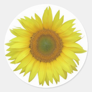 Sunflower Sticker