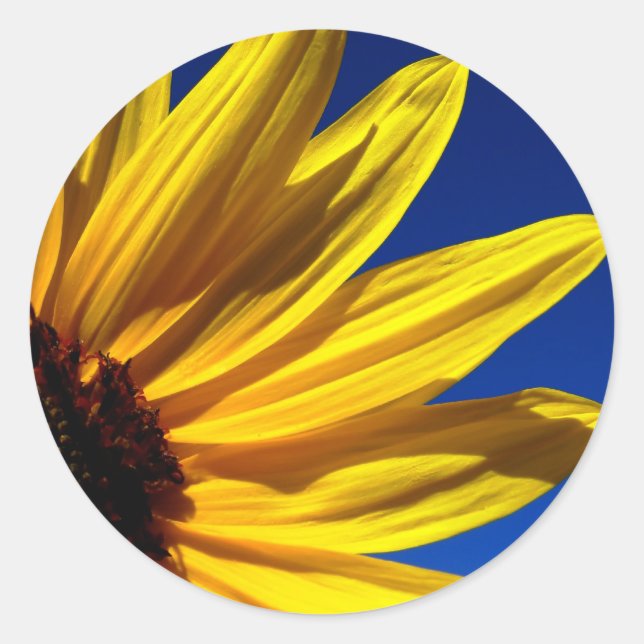 Sunflower Stickers (Front)