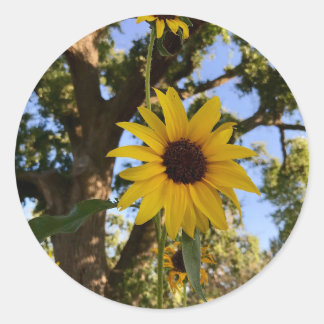 Sunflower Stickers