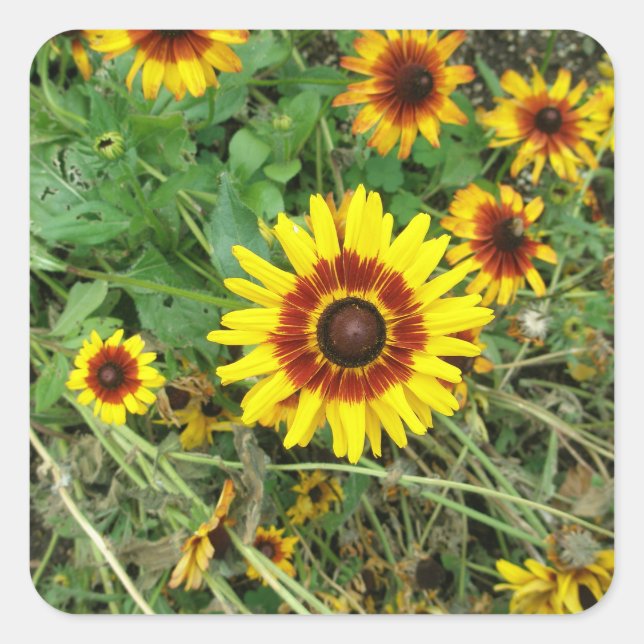 Sunflower stickers (Front)