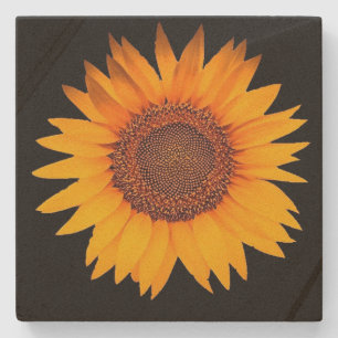 Sunflower Stone Coaster