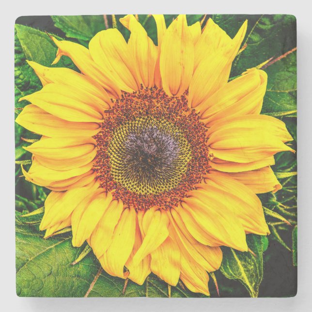 Sunflower Stone Coaster (Front)