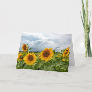 Sunflower Storm Blank Note Card