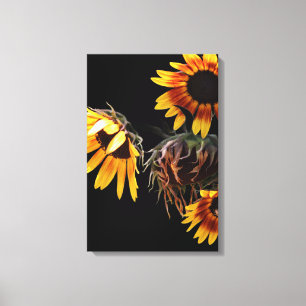 Sunflower Stretched Canvas Print
