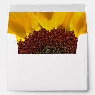 Sunflower Sun Envelopes