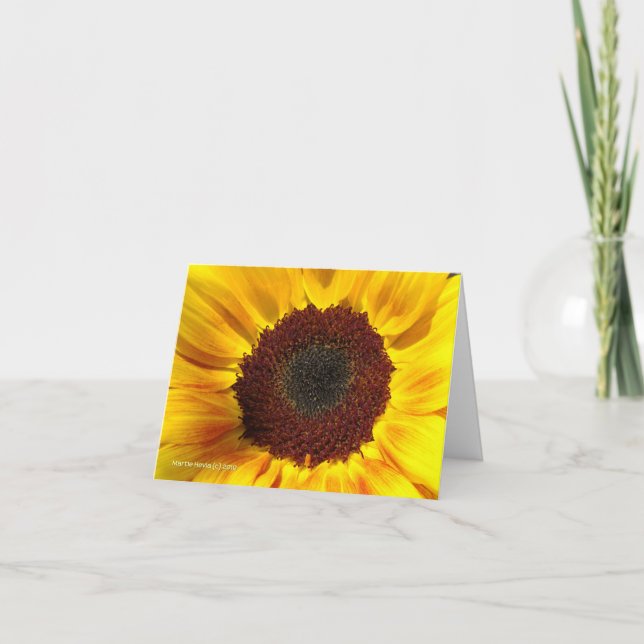 Sunflower Sun - Note Card (Front)