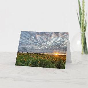 Sunflower Sunset Blank Note Card